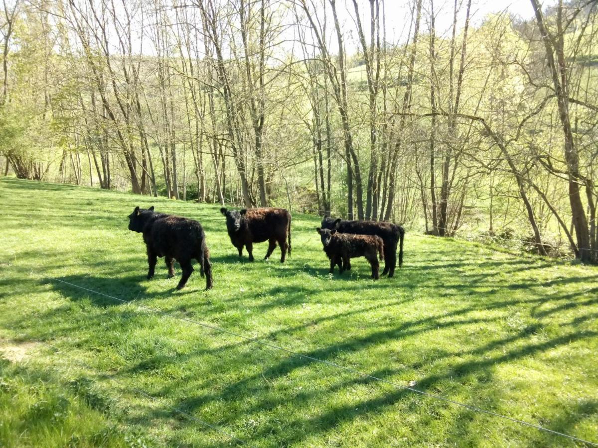 شقة Relaxen Im Taubertal Niederstetten المظهر الخارجي الصورة